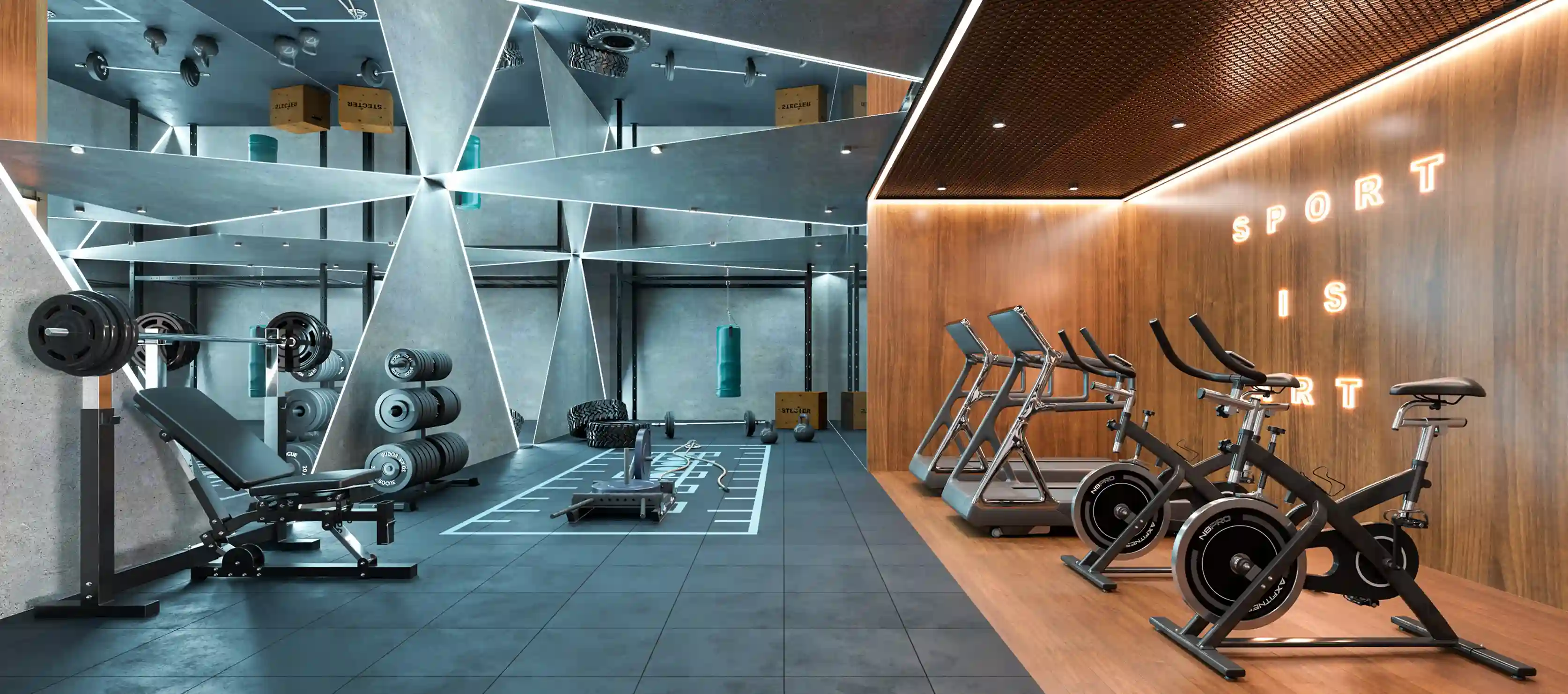 Golden or Charde Gym Training